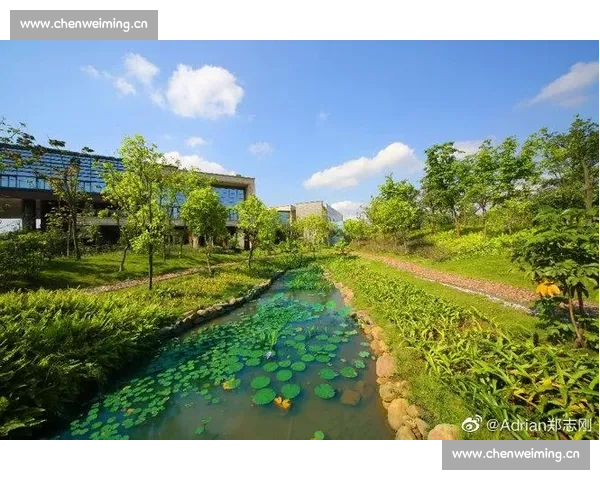 绿色直播助力足球赛事可持续发展与环保观赛新体验 - 副本 (2)