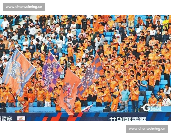 足球赛事网络直播生态发展趋势与沉浸式观赛体验深度解析报告前沿 - 副本 (4)